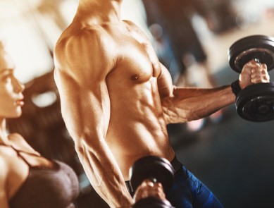 Musculation