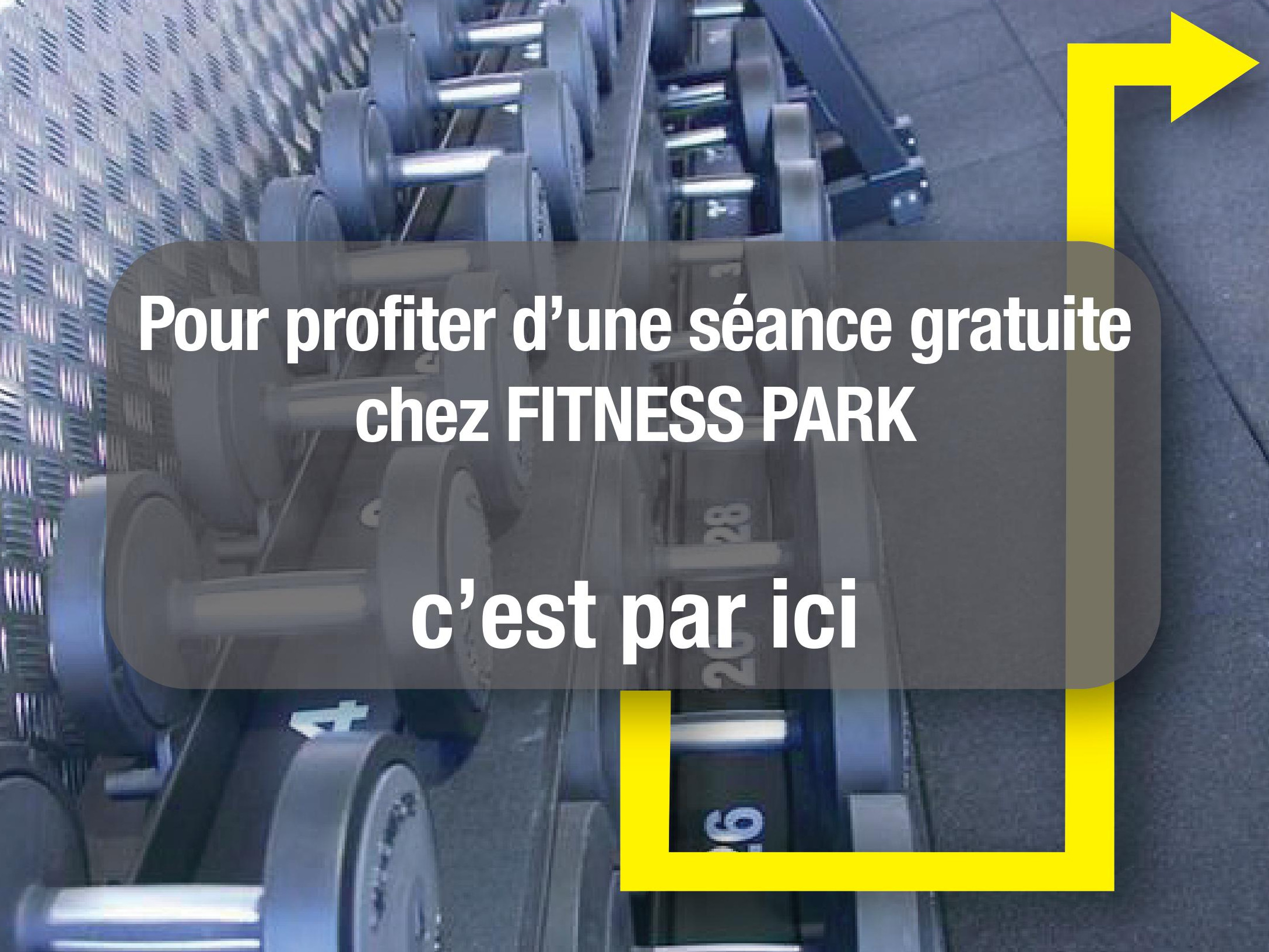 Fitness Park Nancy