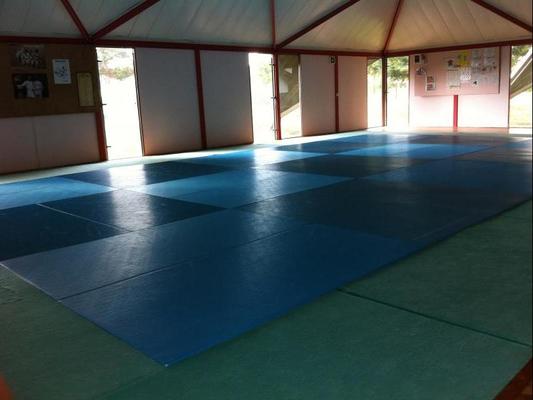 Association Mixed Martial Arts