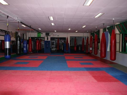PANZA GYM