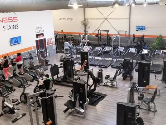 Arena Fitness