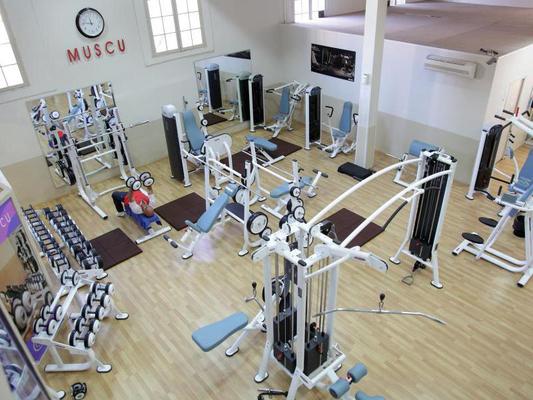 Open Gym